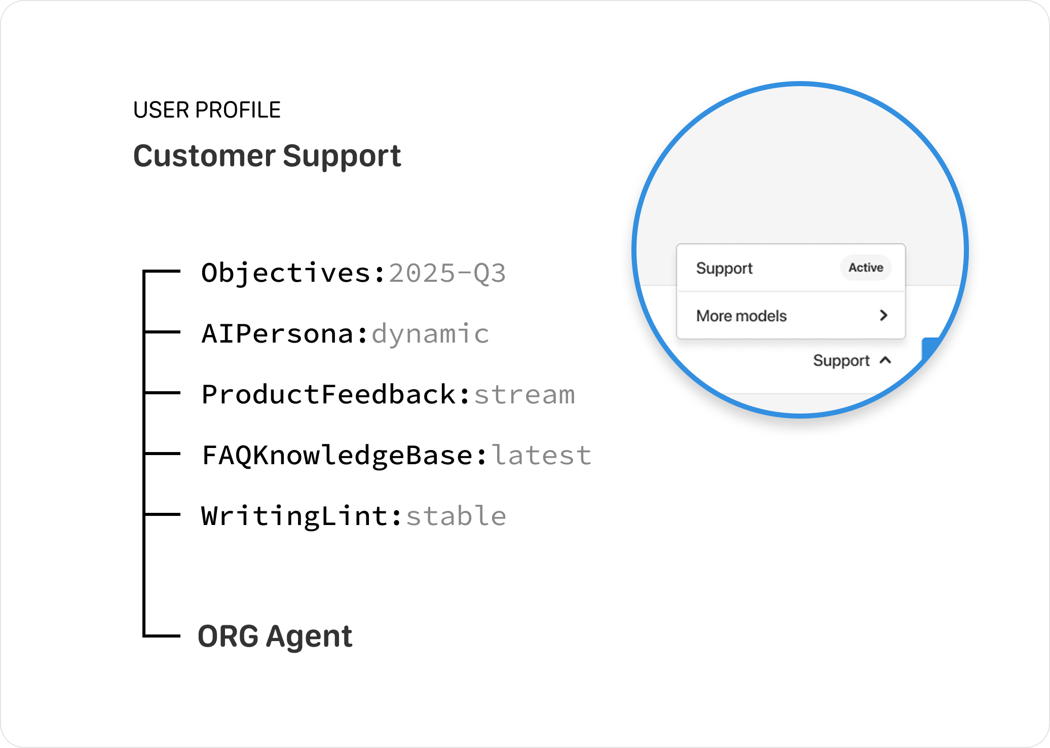 Customer Support Profile